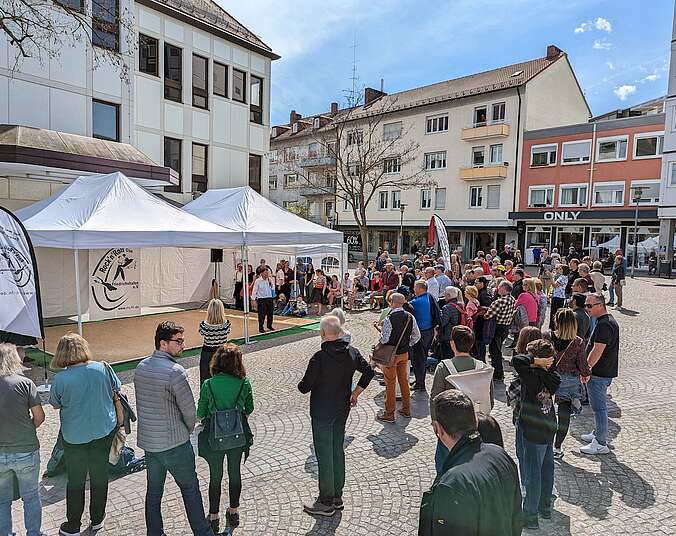 Gut besucht: Aufführungen des Rock 'n' Roll Clubs Friedrichshafen